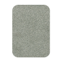 T1
