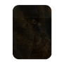 S1